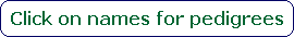 Click on names for pedigrees