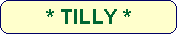 * TILLY *